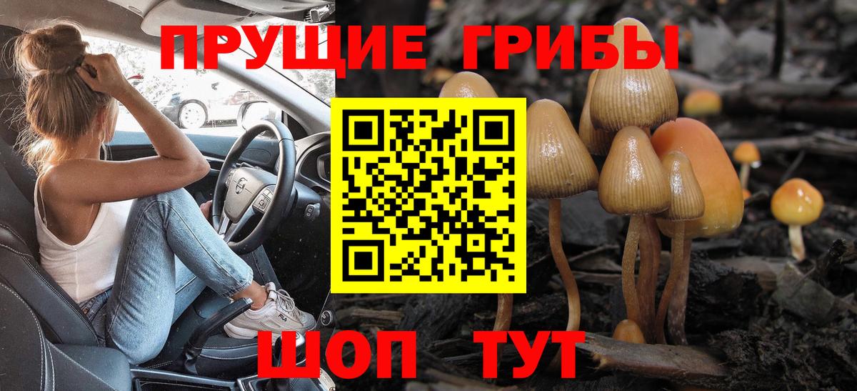 Крымск  Псилоцибиновые грибы мицелий  Вход с VPN  Галлюциногенные грибы GOLDEN TEACHER 