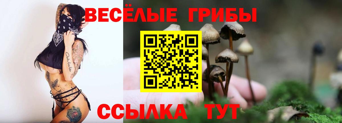 Псилоцибиновые грибы Psilocybine cubensis Крымск